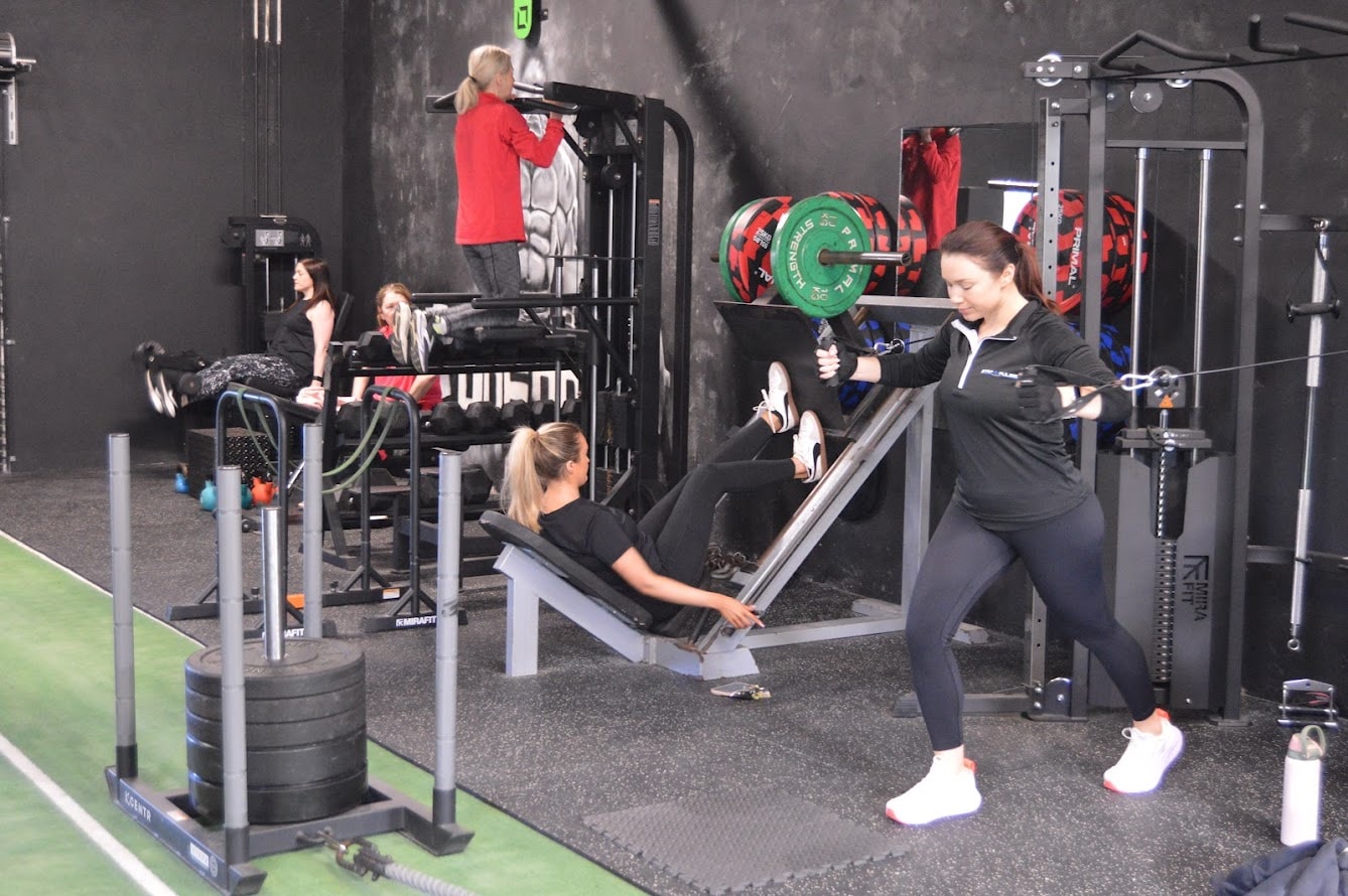 Gorilla Studio at One2One Fitness NI